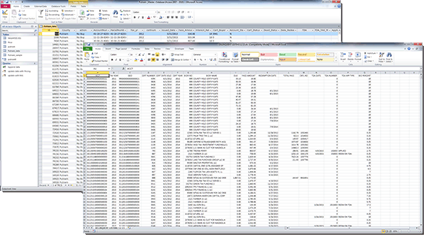 Microsoft Access and Excel Programming